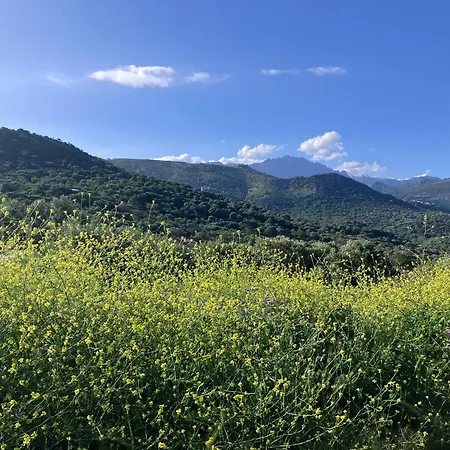 Villa Bella Vista Corbara