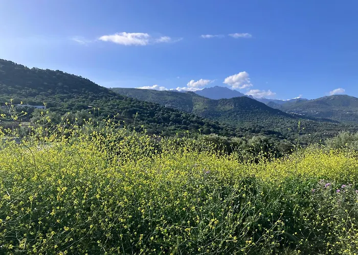 Villa Bella Vista Corbara